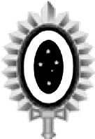 image-23-copiar